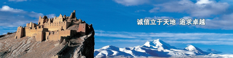 移民文件翻譯、合肥駕照翻譯