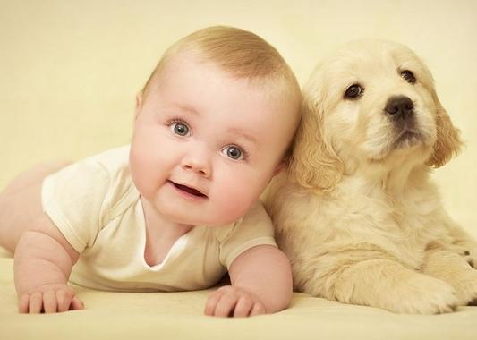 周易起名字 周易起名字