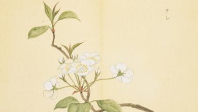 起名網(wǎng) 起名網(wǎng)