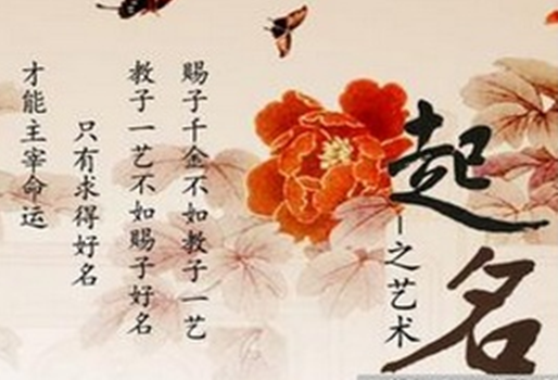 周易五行數理五格起名-海真起名網