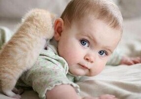 男孩新穎有涵養(yǎng)的名字