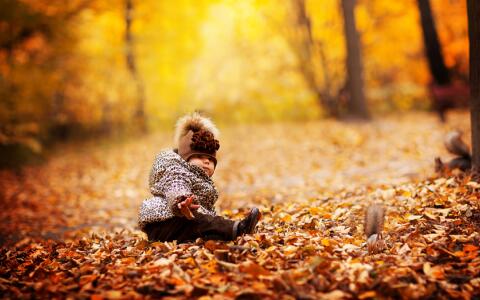 2017雞年女孩起名 2017雞年女孩起名