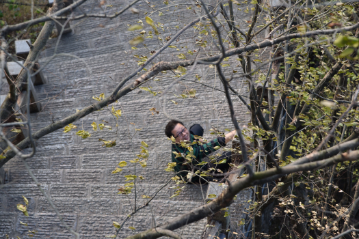 海真易經(jīng)桂林行 海真易經(jīng)桂林行