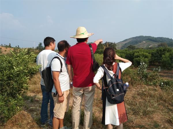 海真風水培訓 海真風水培訓